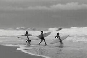 guinness Extra Cold - Surfers Retreat